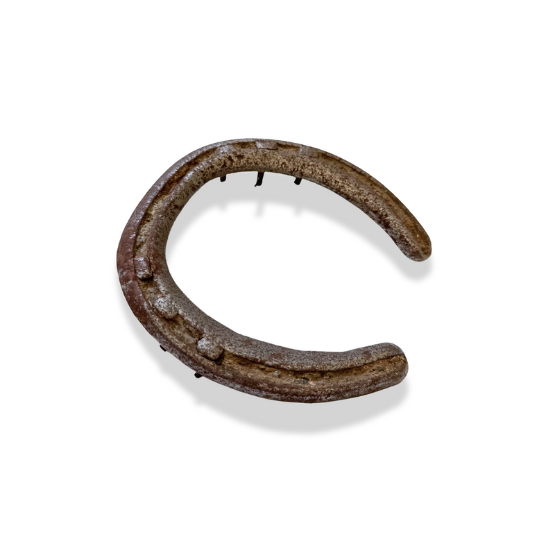 Vintage Horseshoe | Antique Cast Iron Decor